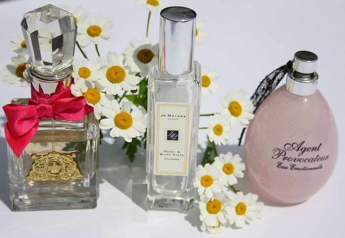 Top 3 Perfumes
